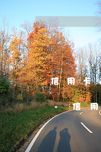 信用卡逾期一個(gè)月還款后還能用嗎-信用卡逾期一個(gè)月還款后還能用嗎知乎