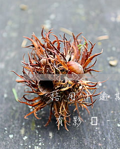 信用卡逾期一個(gè)月還款,對征信有沒有影響-信用卡逾期一個(gè)月還款,對征信有沒有影響呢