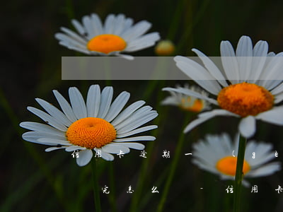 信用卡逾期一個(gè)月還沒(méi)還完怎么辦-信用卡逾期一個(gè)月還沒(méi)還完怎么辦呢
