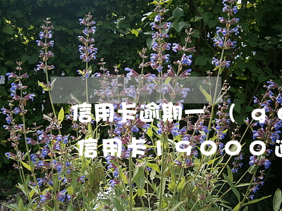 信用卡逾期一個(gè)月還滯納金怎么算 信用卡19000逾期還不上,一個(gè)月滯納金多少