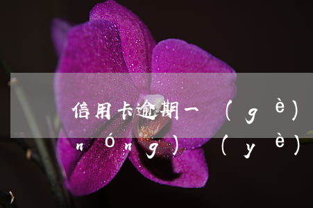 信用卡逾期一個(gè)月還能用嗎-農(nóng)業(yè)信用卡逾期一個(gè)月還能用嗎