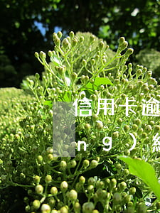 信用卡逾期一個(gè)月還能申請(qǐng)網(wǎng)貸嗎-信用卡逾期一個(gè)月還能申請(qǐng)網(wǎng)貸嗎知乎