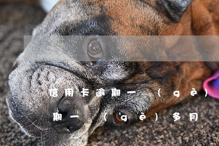信用卡逾期一個(gè)月還行嗎(信用卡逾期一個(gè)多月還清之后還可以用嗎)