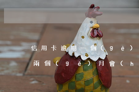 信用卡 逾期 一個(gè)月（銀行信用卡逾期兩個(gè)月會(huì)怎么樣）