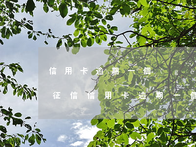 信用卡逾期一個(gè)約會(huì)上征信(信用卡逾期一個(gè)約會(huì)上征信)