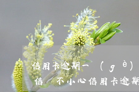信用卡逾期一個(gè)約會(huì)失信嗎(不小心信用卡逾期)
