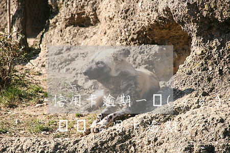 信用卡逾期一個(gè)銀行逾期12次(十幾張信用卡逾期)