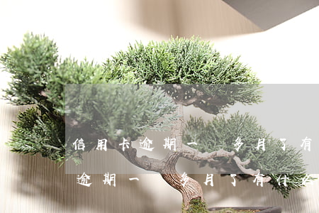 信用卡逾期一個多月了有什么影響-信用卡逾期一個多月了有什么影響沒