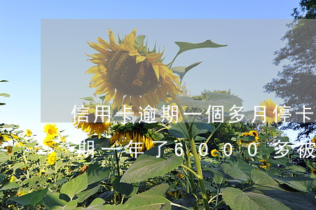 信用卡逾期一個多月停卡被起訴(我信用卡逾期一年了6000多被起訴了怎么辦)