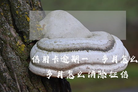 信用卡逾期一個多月怎么消除(信用卡逾期一個多月怎么消除征信)