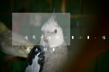 信用卡逾期一個小時-信用卡逾期一個小時算逾期嗎