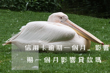 信用卡逾期一個月_影響貸款嗎-信用卡逾期一個月影響貸款嗎?