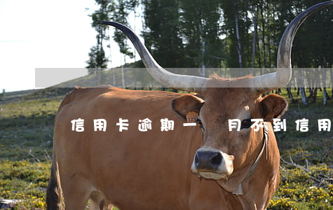 信用卡逾期一個月不到(信用卡 逾期 一周)