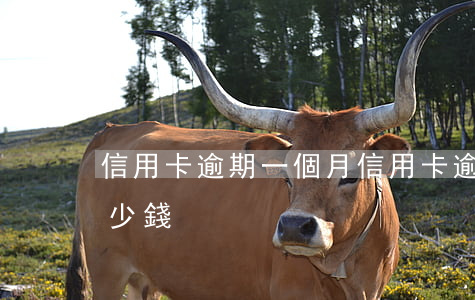 信用卡 逾期 一個月（信用卡逾期一個月會扣多少錢）