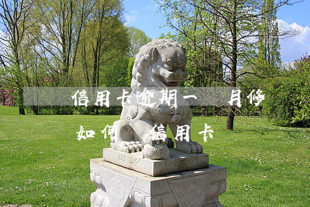 信用卡逾期一個月修復記錄(有嚴重逾期記錄如何辦信用卡)