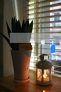 信用卡逾期一個月內(nèi)有什么影響 信用卡逾期一個月內(nèi)有什么影響嗎