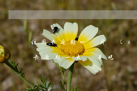 信用卡逾期一個月內(nèi)還-還信用卡逾期一天沒事吧