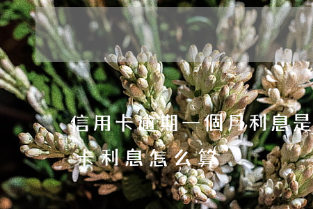 信用卡逾期一個月利息是多少錢(逾期的信用卡利息怎么算)