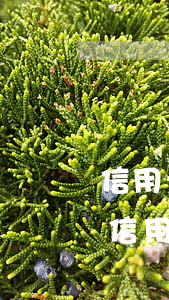 信用卡逾期一個月可以主動協(xié)商(信用卡 逾期 一個月)