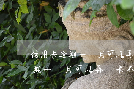 信用卡逾期一個月可以再辦卡不-信用卡逾期一個月可以再辦卡不