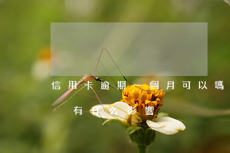 信用卡逾期一個月可以嗎(信用卡逾期一個月內有什么影響)