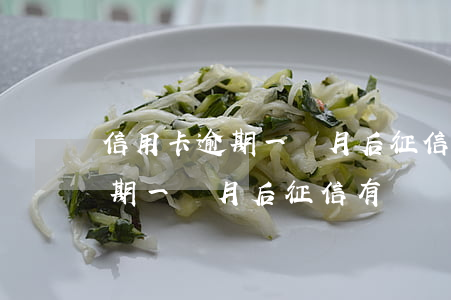 信用卡逾期一個月后征信有記錄嗎(信用卡逾期一個月后征信有記錄嗎貼吧)