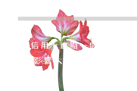 信用卡逾期一個月后果(信用卡逾期1個星期影響大嗎)