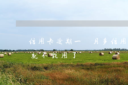 信用卡逾期一個月多(信用卡逾期一個月多點就不能用了嗎)