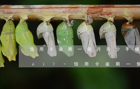 信用卡逾期一個月多少手續(xù)費(fèi)-信用卡逾期一個月多少手續(xù)費(fèi)合理