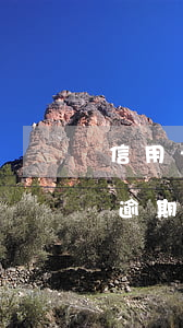 信用卡逾期一個月對征信有影響沒-信用卡逾期一個月對征信有影響沒有
