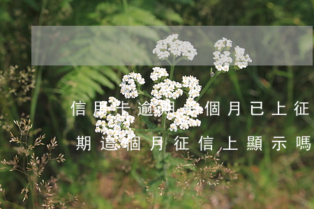 信用卡逾期一個月已上征信(上個月信用卡逾期這個月征信上顯示嗎)