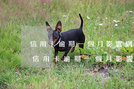 信用卡逾期一個月影響網(wǎng)貸么(信用卡逾期一個月影響網(wǎng)貸么)