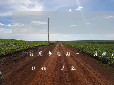 信用卡逾期一個月征信6(信用卡逾期一個月征信會怎么樣)