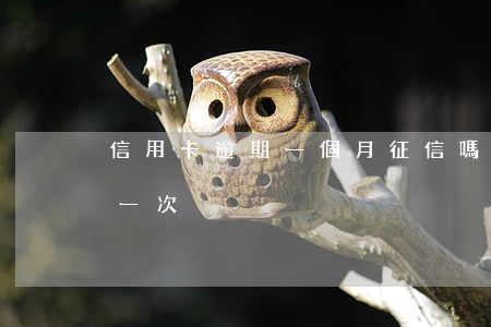 信用卡逾期一個月征信嗎 征信上信用卡逾期一次