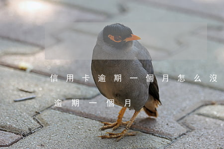 信用卡逾期一個月怎么沒接到電話-信用卡 逾期一個月