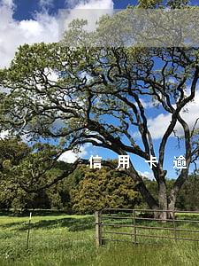 信用卡逾期一個月是指幾天(信用卡 逾期 幾天)