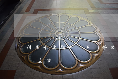 信用卡逾期一個月暫停(欠信用卡逾期幾個月會立案)