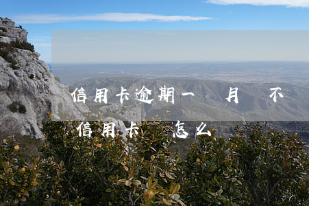 信用卡逾期一個月會不會封卡-逾期一個月信用卡會怎么樣