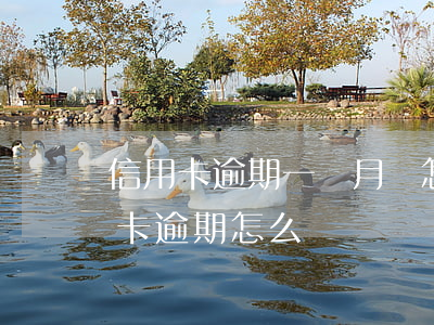 信用卡逾期一個月會怎樣啊(一個銀行的信用卡逾期怎么辦)