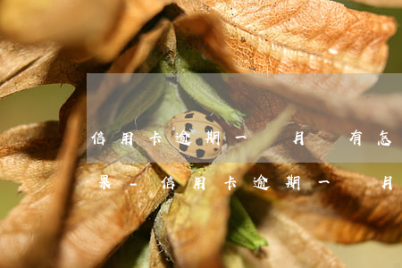 信用卡逾期一個月會有怎樣的結(jié)果-信用卡逾期一個月會有怎樣的結(jié)果呢