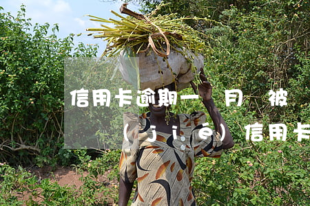 信用卡逾期一個月會被鎖卡嗎-逾期多久會凍結(jié)信用卡