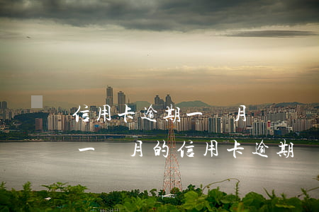 信用卡逾期一個月會記錄征信嗎(征信報告有一個月的信用卡逾期)