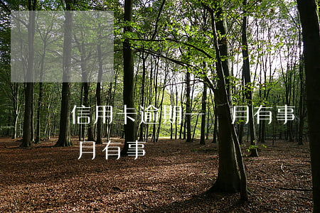 信用卡逾期一個月有事嗎-信用卡逾期一個月有事嗎?