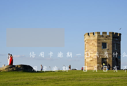信用卡逾期一個月有什么影響沒還(忘記還信用卡逾期一個月會有不良記錄嗎)