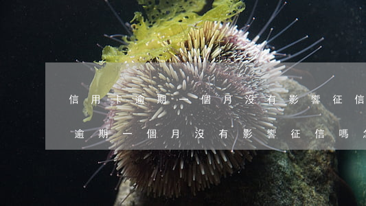 信用卡逾期一個月沒有影響征信嗎-信用卡逾期一個月沒有影響征信嗎怎么辦