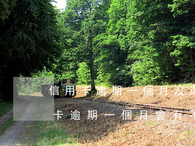 信用卡逾期一個月沒還會怎么辦(忘記還信用卡逾期一個月會有不良記錄嗎)