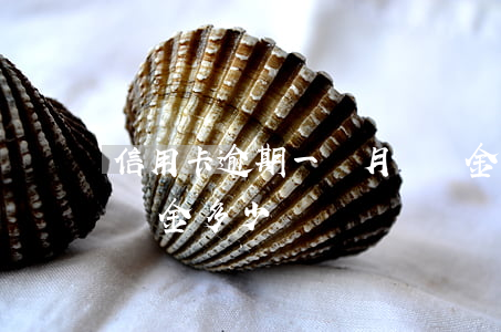 信用卡逾期一個月滯納金多少錢(逾期一天滯納金多少)