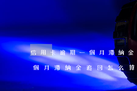信用卡逾期一個月滯納金追回(信用卡逾期一個月滯納金追回怎么算)