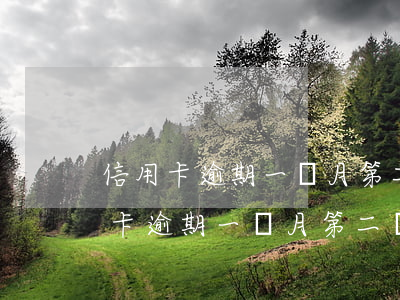 信用卡逾期一個月第二個月還行不行-信用卡逾期一個月第二個月還行不行呀