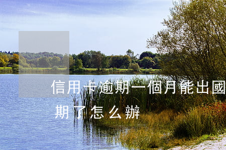 信用卡逾期一個月能出國嗎(國外的信用卡逾期了怎么辦)
